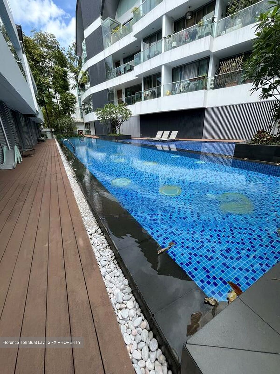 The Holland Collection (D10), Apartment #501649471